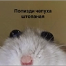 Обложка набора ах ты крыса