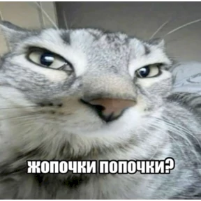 Стикер из набора али$АСКовородка