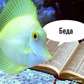 Стикер из набора али$АСКовородка