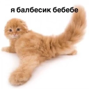 Стикер 18 из набора али$АСКовородка