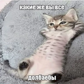 Стикер 21 из набора али$АСКовородка