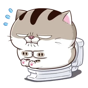 Обложка набора Ami fat cat