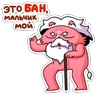 Обложка набора Анананася