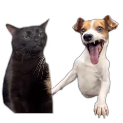 Стикер 9 из набора animals
