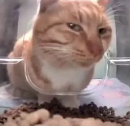 Стикер 15 из набора animalsANIM