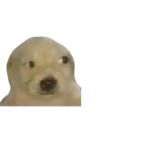 Стикер из набора Baby memes