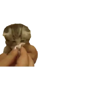 Стикер из набора Baby memes