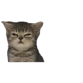 Стикер 6 из набора Baby memes