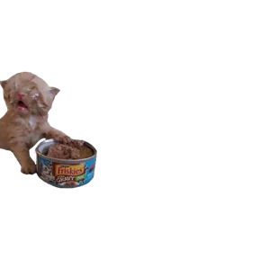 Стикер 7 из набора Baby memes