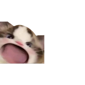 Стикер 11 из набора Baby memes