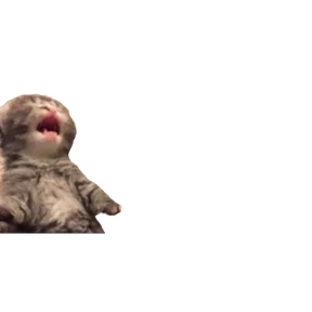 Стикер 13 из набора Baby memes