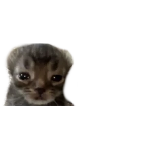 Стикер 15 из набора Baby memes