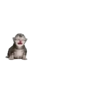 Стикер 17 из набора Baby memes