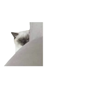 Стикер 21 из набора Baby memes