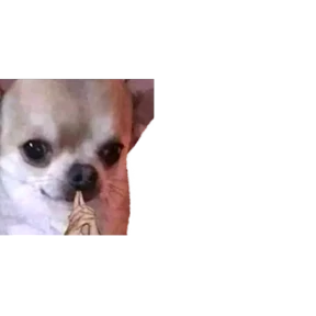 Стикер 28 из набора Baby memes