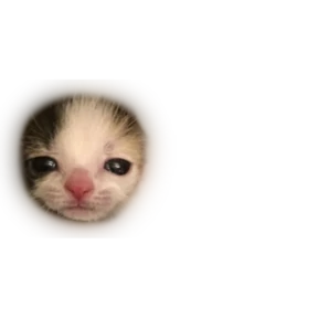 Стикер 36 из набора Baby memes
