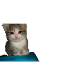 Стикер 5 из набора Baby memes