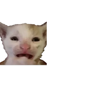 Стикер 41 из набора Baby memes