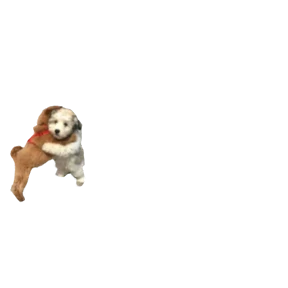 Стикер 44 из набора Baby memes