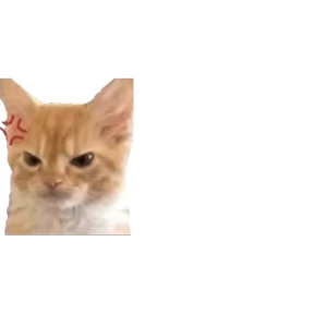 Стикер 55 из набора Baby memes
