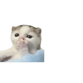 Стикер 60 из набора Baby memes