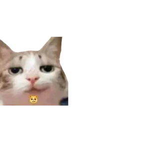 Стикер 80 из набора Baby memes
