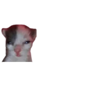 Стикер 82 из набора Baby memes