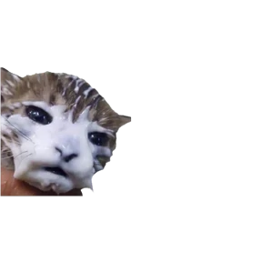 Стикер 95 из набора Baby memes