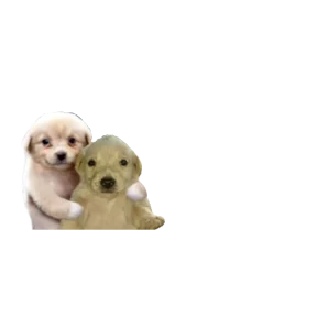 Стикер 6 из набора Baby memes