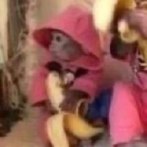 Стикер 13 из набора бибизьяны