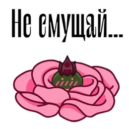 Стикер 3 из набора Боброжаба