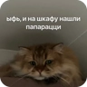 Обложка набора Булосьная полисия