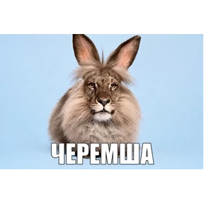 Стикер 1 из набора ЧЕРЕМША