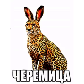 Стикер 2 из набора ЧЕРЕМША