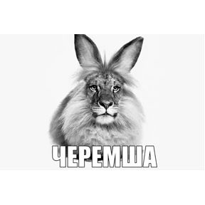 Стикер 3 из набора ЧЕРЕМША