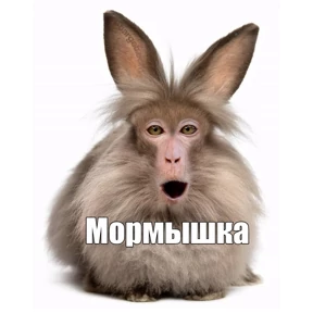 Стикер 5 из набора ЧЕРЕМША
