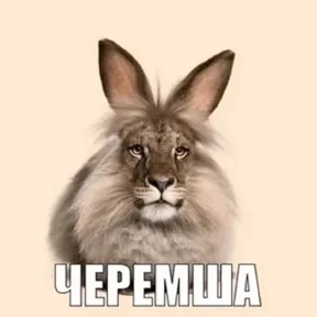Стикер 7 из набора ЧЕРЕМША