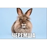Обложка набора ЧЕРЕМША