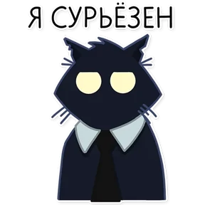 Обложка набора Черный кот