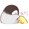 Обложка набора cute peng and chick