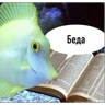 Обложка набора Да да