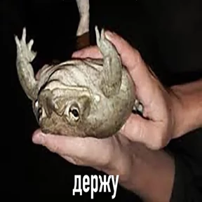 Стикер из набора Держи ДЖАБУ