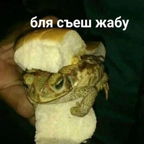 Стикер из набора Держи ДЖАБУ