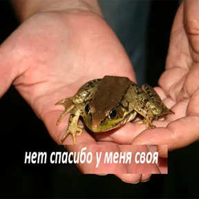 Стикер из набора Держи ДЖАБУ