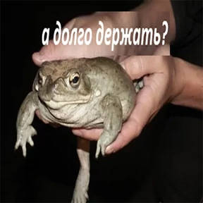 Стикер 6 из набора Держи ДЖАБУ