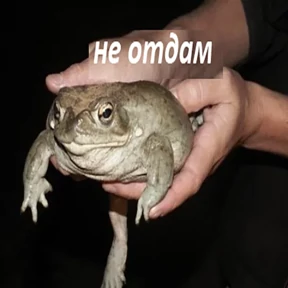 Стикер 8 из набора Держи ДЖАБУ