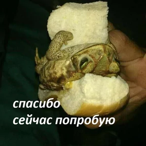 Стикер 9 из набора Держи ДЖАБУ