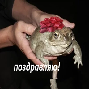 Стикер 11 из набора Держи ДЖАБУ