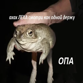 Стикер 12 из набора Держи ДЖАБУ