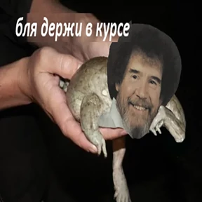 Стикер 15 из набора Держи ДЖАБУ